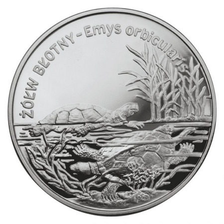 Zwierzęta świata - Żółw Błotny